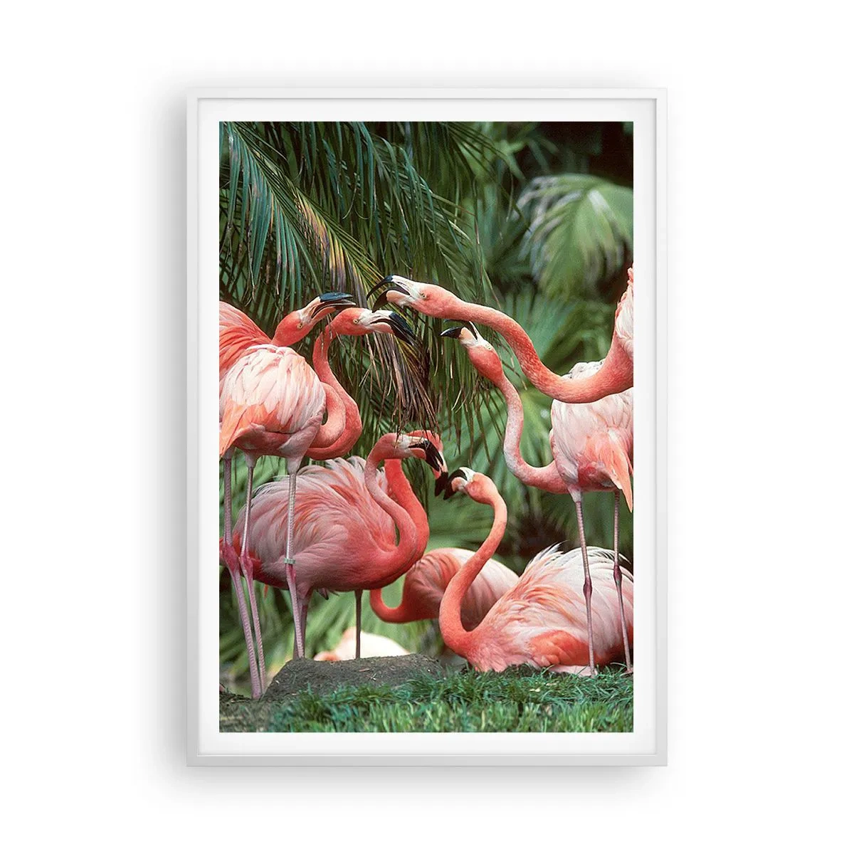 Poster in een witte lijst - Middag roddels - 70x100 cm