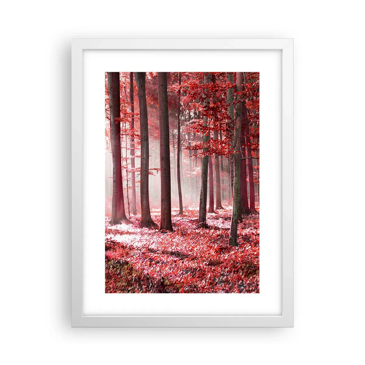 Poster in een witte lijst - Rood is net zo mooi - 30x40 cm