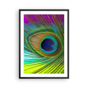Poster in een zwarte lijst - Detail van een pauwenveer in intense kleuren - 50x70cm - Oog in oog - Moderne wanddecoratie voor woonkamer en slaapkamer ARTTOR