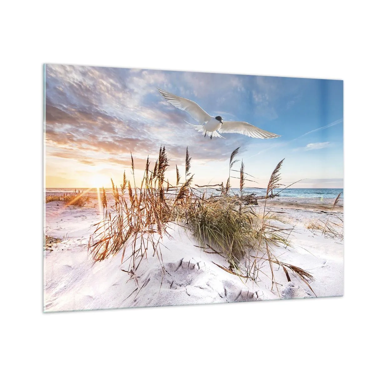 Schilderen op glas - Wind uit zee - 100x70 cm