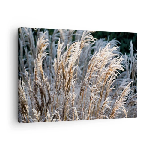 Schilderen op canvas - Winterse grassprieten bedekt met rijp tegen een donkergroene achtergrond - 70x50cm - Gekleed met vorst - Moderne wanddecoratie voor woonkamer en slaapkamer ARTTOR