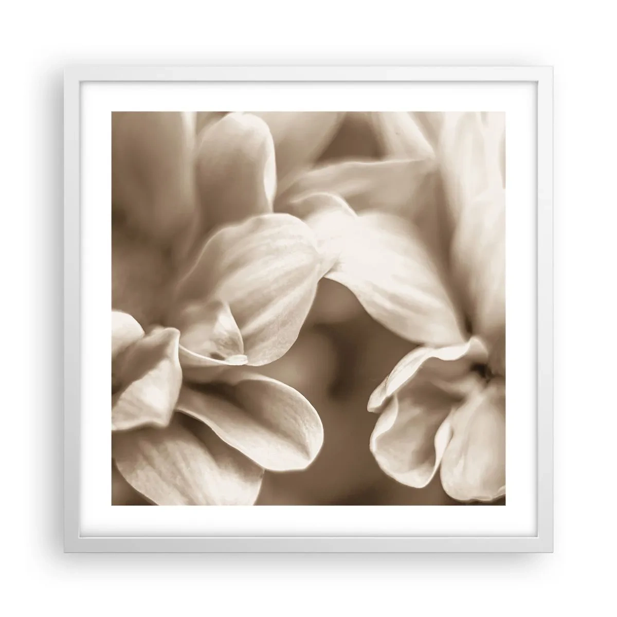 Poster in een witte lijst - Zo zacht als een glimlach - 50x50 cm