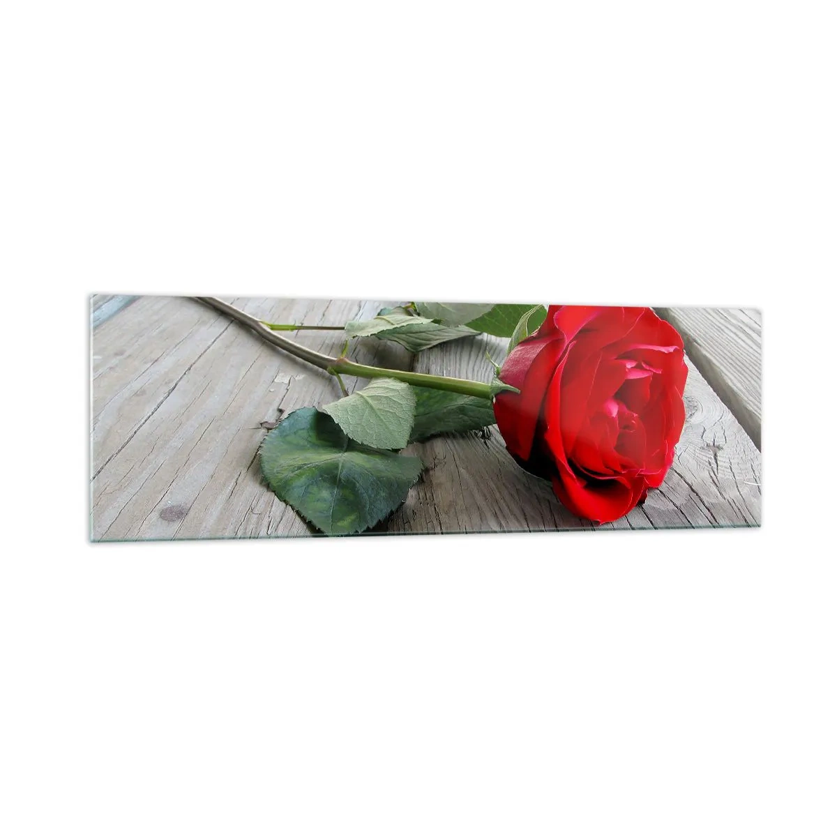 Schilderen op glas - Een studie in scharlaken - 160x50 cm