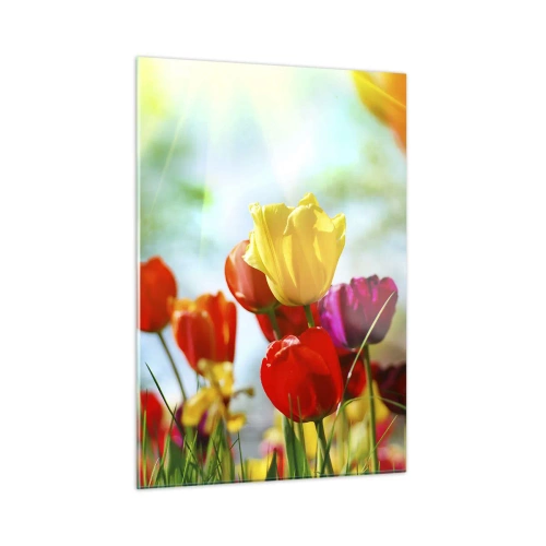 Schilderen op glas - Alle kleuren van de zon - 50x70 cm