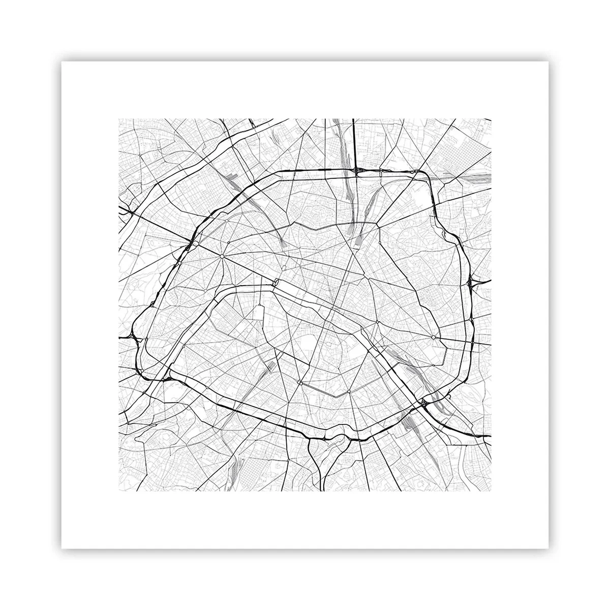 Poster - Parijs bloem - 30x30 cm
