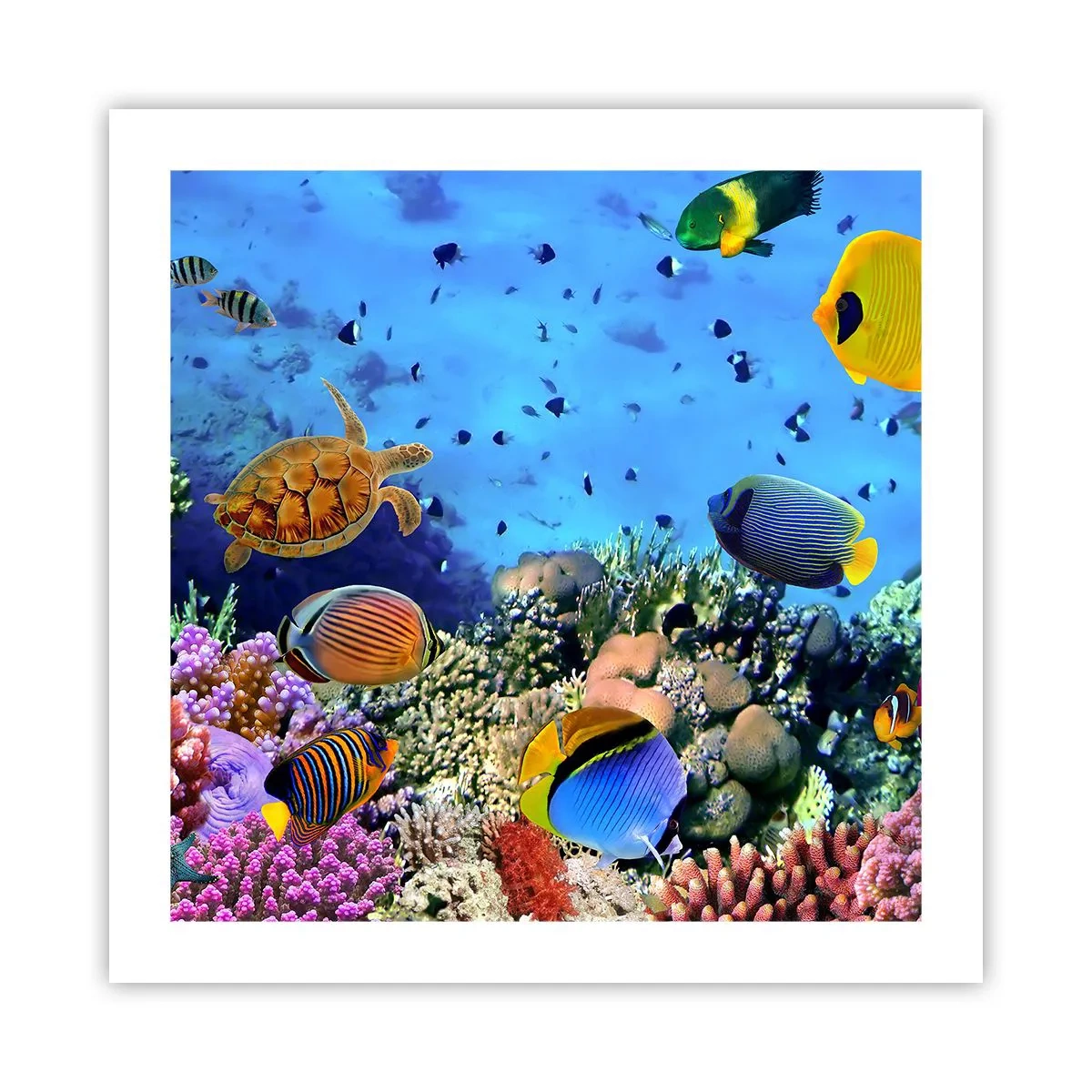 Poster - En wat weten we over het leven... - 50x50 cm