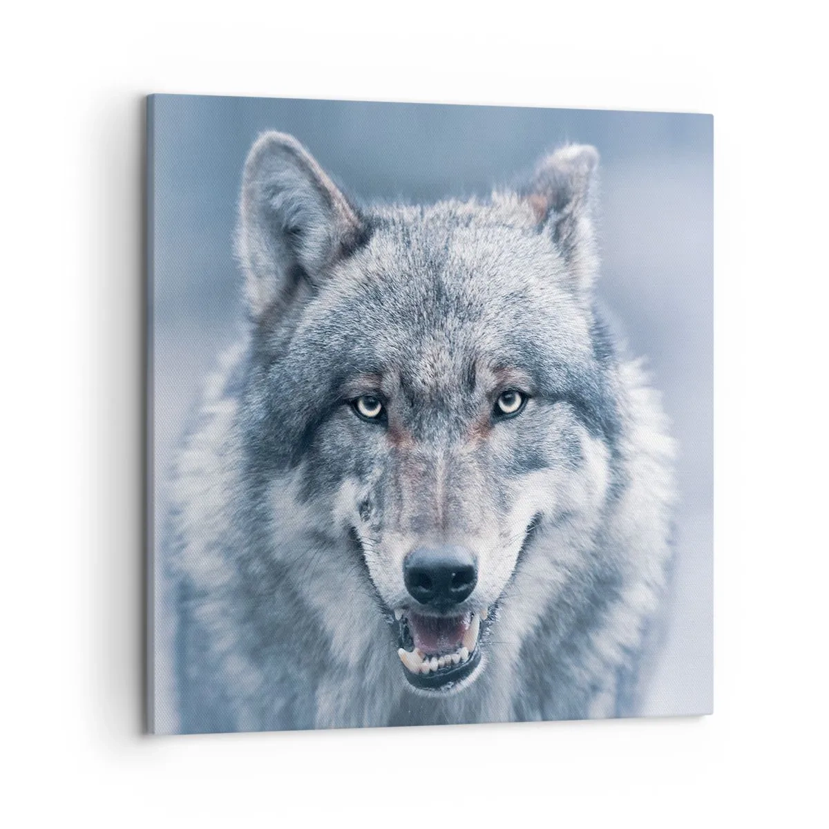 Schilderen op canvas - Ga jij de uitdaging aan? - 50x50 cm