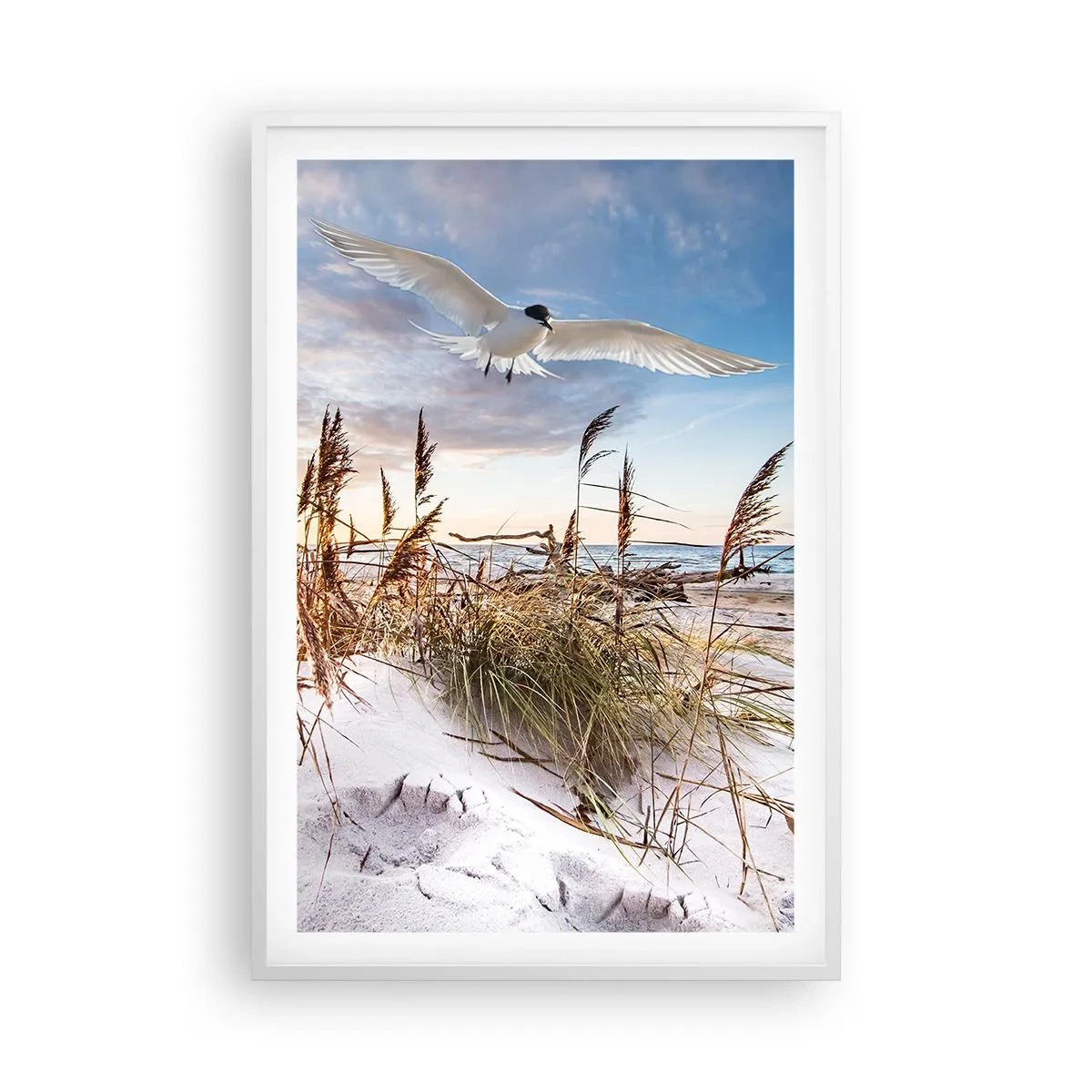 Poster in een witte lijst - Wind uit zee - 61x91 cm