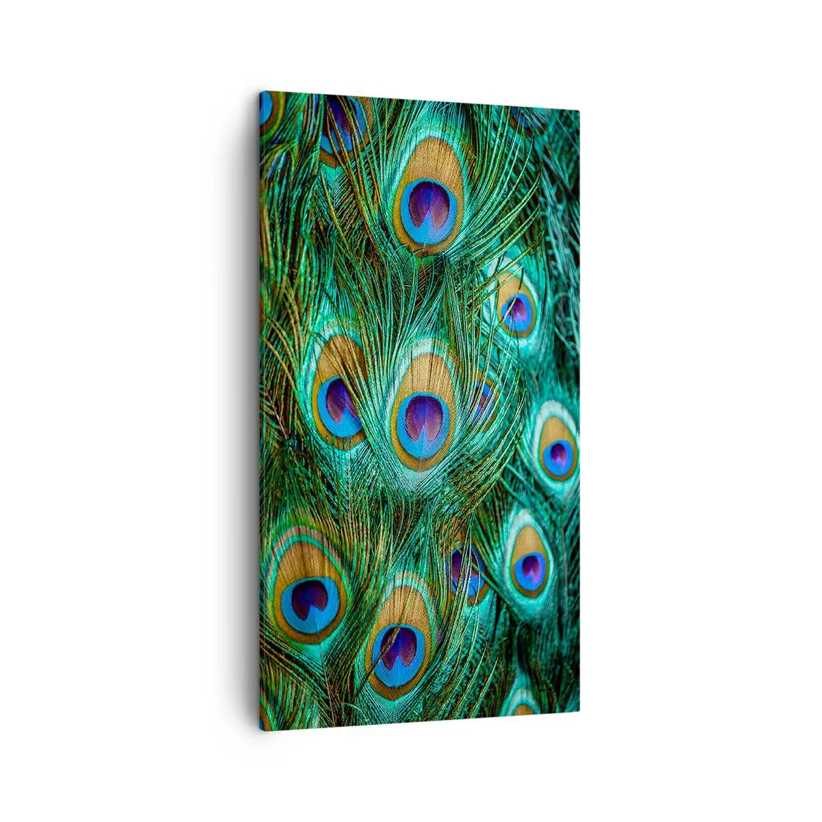 Schilderen op canvas - Een pauwenooglook - 45x80 cm