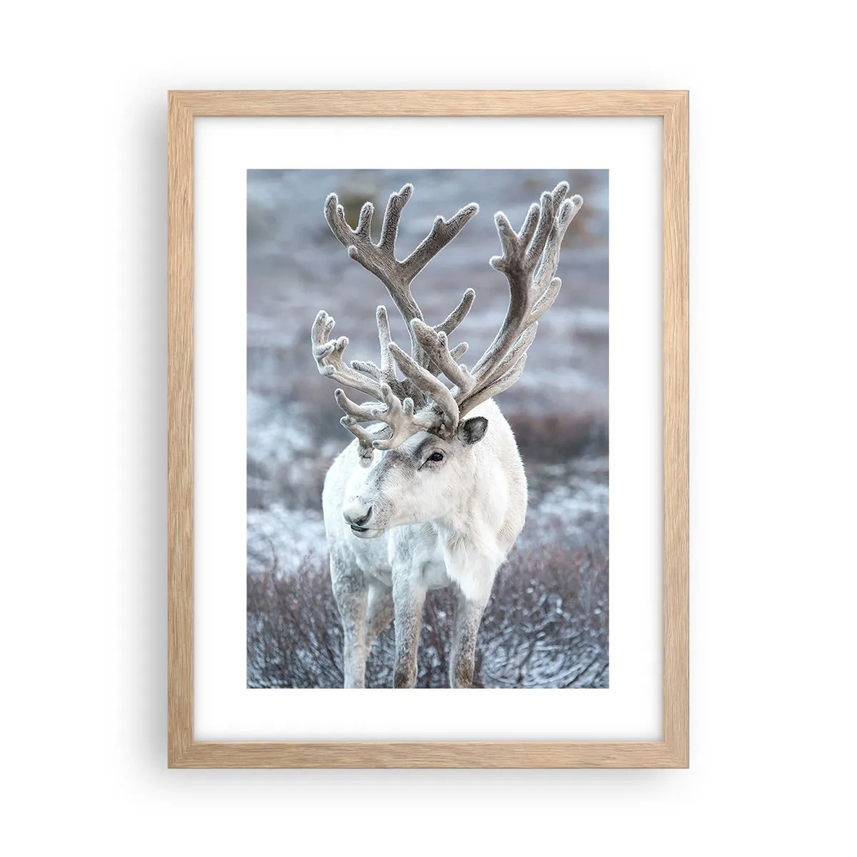 Een poster in een licht eiken lijst - Portret in de zon - 30x40 cm