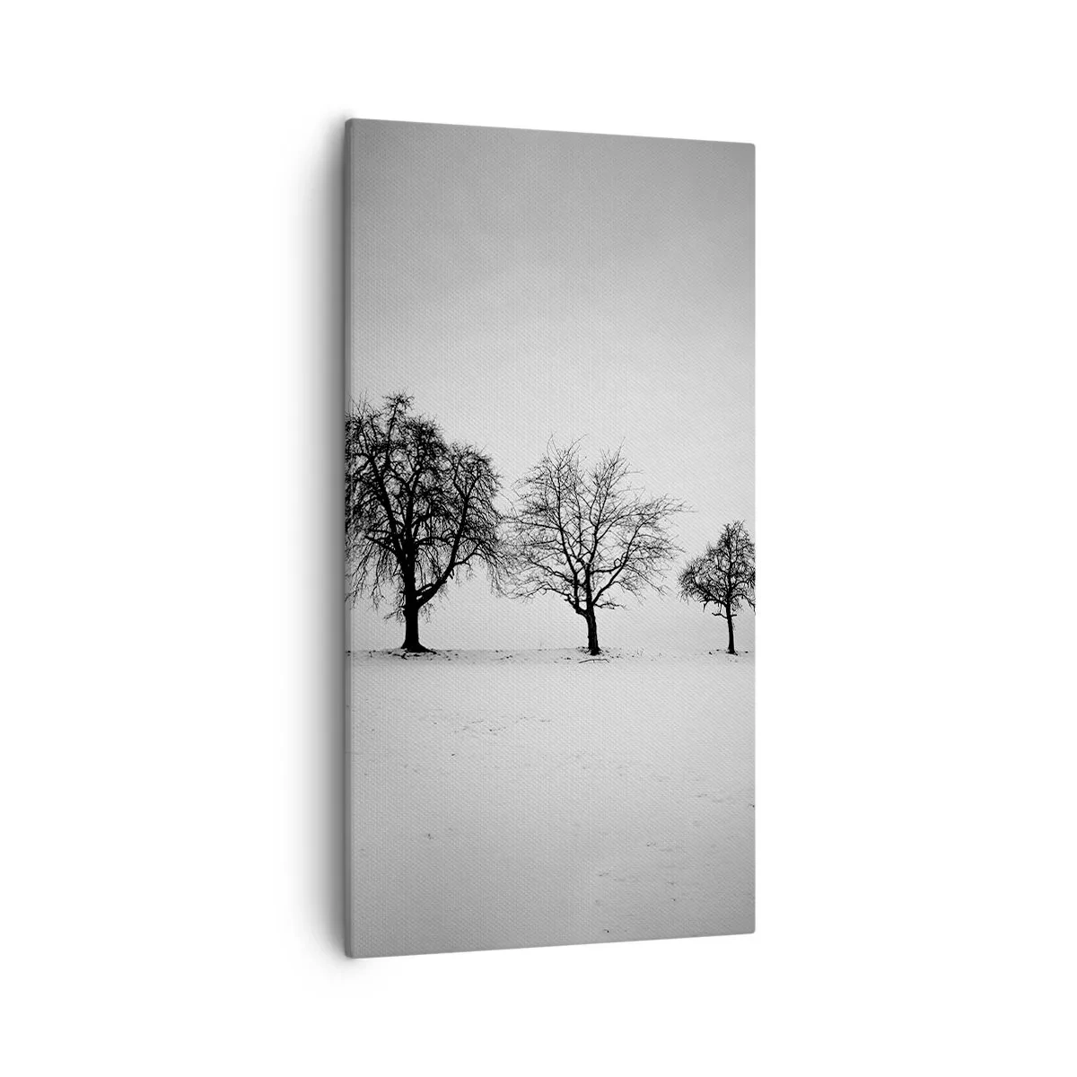 Schilderen op canvas - Waar dromen ze over? - 55x100 cm