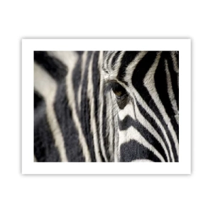 Poster - Gestreept portret - 50x40 cm