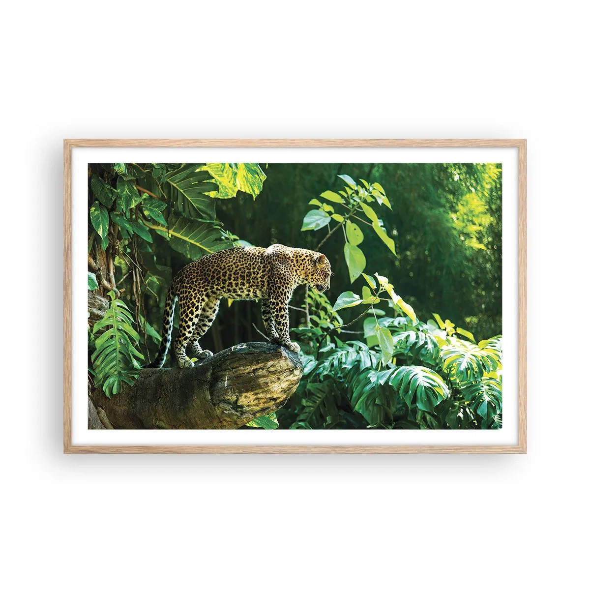 Een poster in een licht eiken lijst - Op jacht? - 91x61 cm