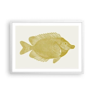 Poster in een witte lijst - Vis en dat is het - 70x50 cm