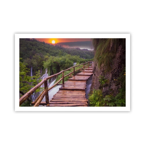 Poster - Ongelooflijke schoonheid - 91x61 cm