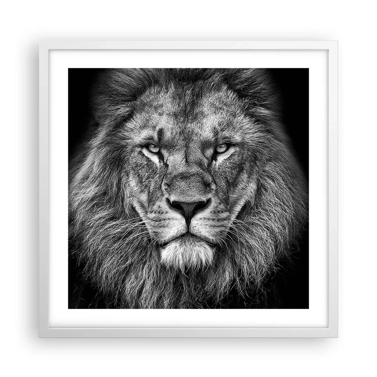 Poster in een witte lijst - In een kroningskleed - 50x50 cm