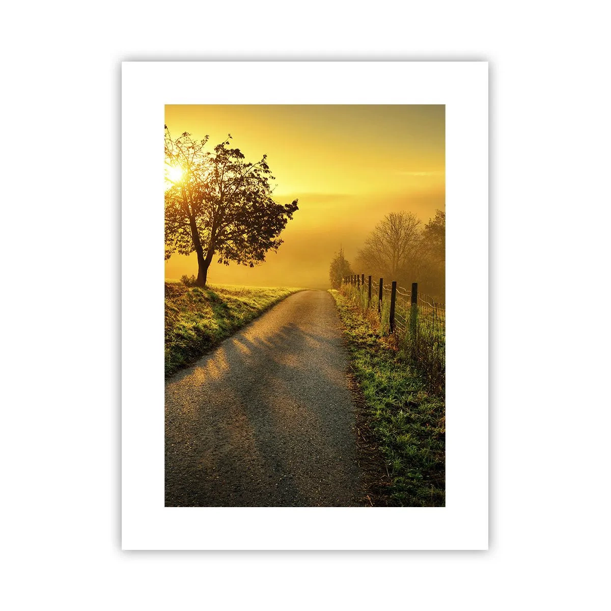 Poster - Honingmiddag - 30x40 cm