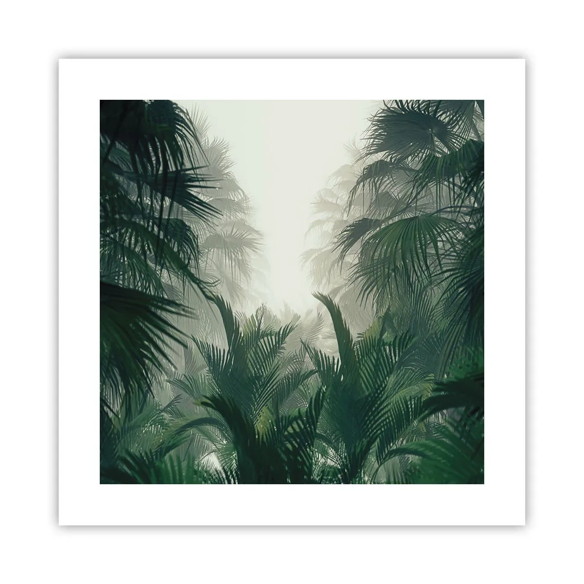 Poster - Tropisch mysterie - 40x40 cm
