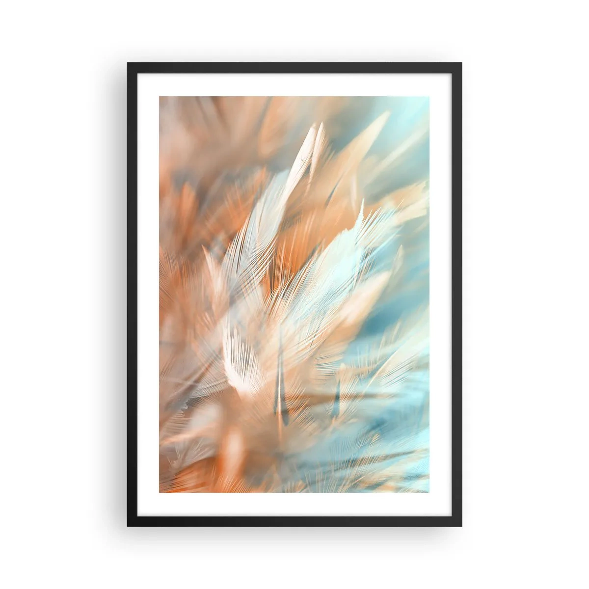 Poster in een zwarte lijst - Delicate veren in tinten blauw en perzik - 50x70cm - In het land van zachtheid - Moderne wanddecoratie voor woonkamer en slaapkamer ARTTOR