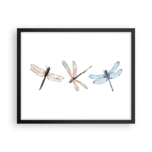 Poster in een zwarte lijst - Gewichtloze libellen - 50x40 cm