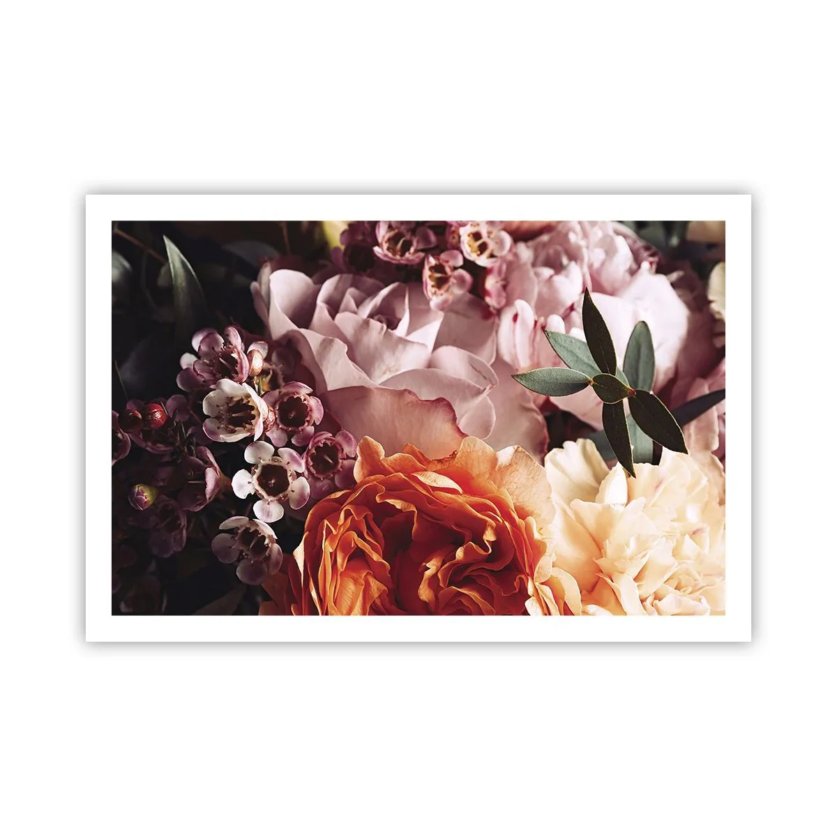 Poster - Gehuld in schoonheid - 91x61 cm