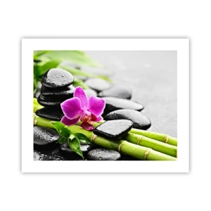 Poster - In een vrede evenwicht - 50x40 cm