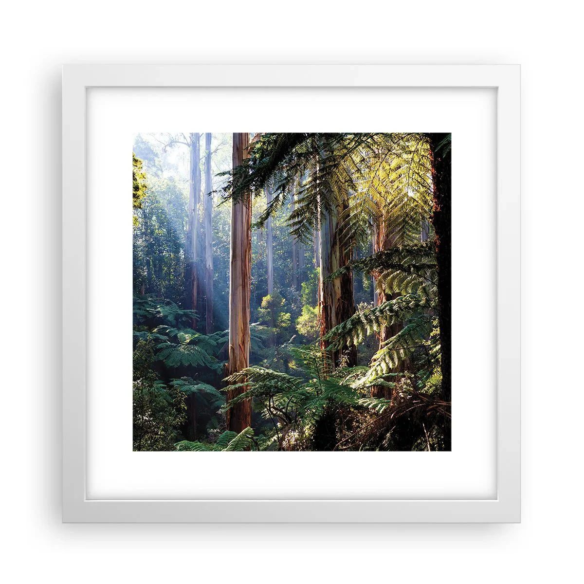 Poster in een witte lijst - Een bossprookje - 30x30 cm