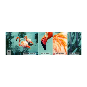 Fotobehang Staaltje Standard Eco - We zijn nu in de mode - Flamingo's, Vogels, Natuur - 100x30 cm