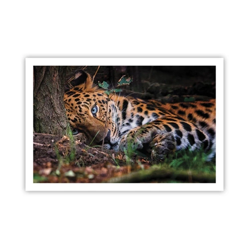 Poster - Geloof me - 91x61 cm