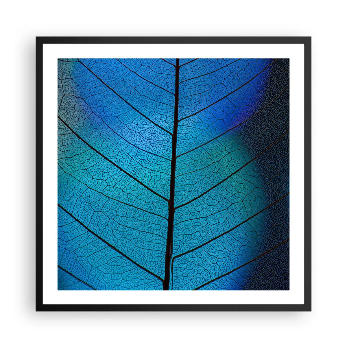 Poster in een zwarte lijst - Ingewikkelde constructie - 60x60 cm