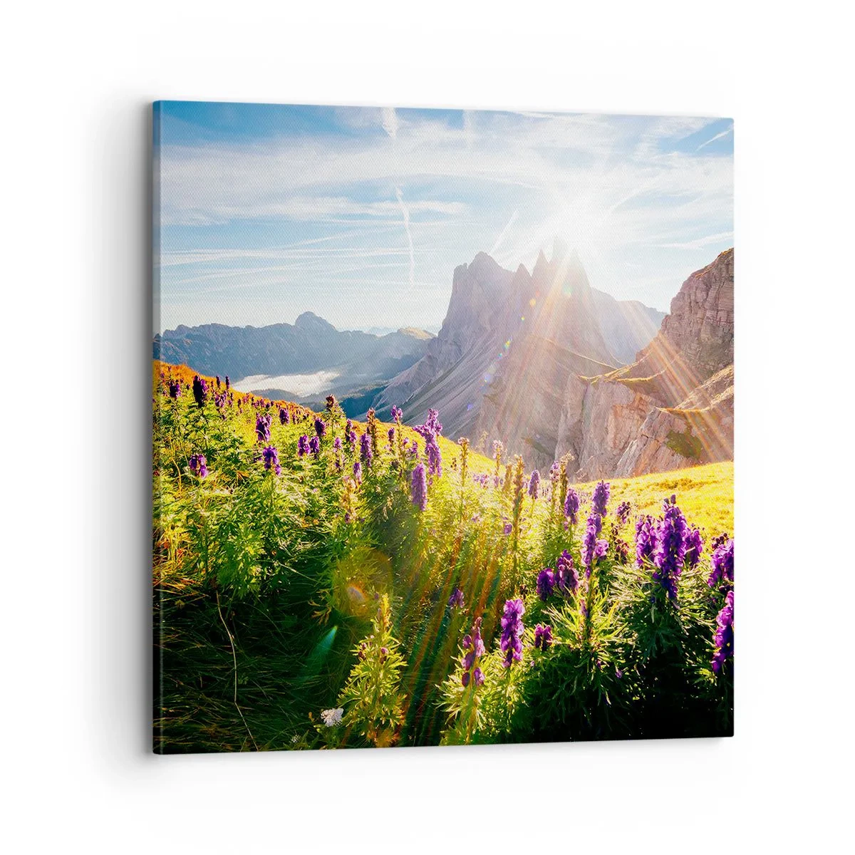 Schilderen op canvas - Het geheime leven van kruiden - 70x70 cm