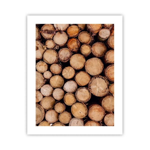 Poster - Een nieuw begin - 40x50 cm