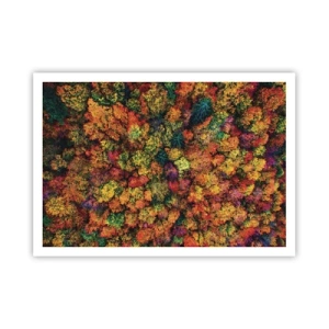 Poster - Boeket herfstbomen - 100x70 cm