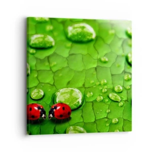 Schilderen op canvas - Ontmoeting in het groen - 30x30 cm