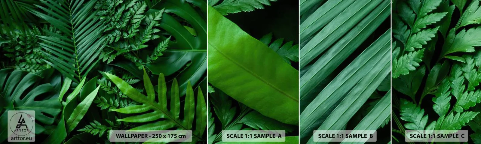 Fotobehang Monster Zelfklevend Deluxe Sticker - Ineengedoken in het groen - Exotische plant, Palmblad, Monstera-blad - 100x30 cm
