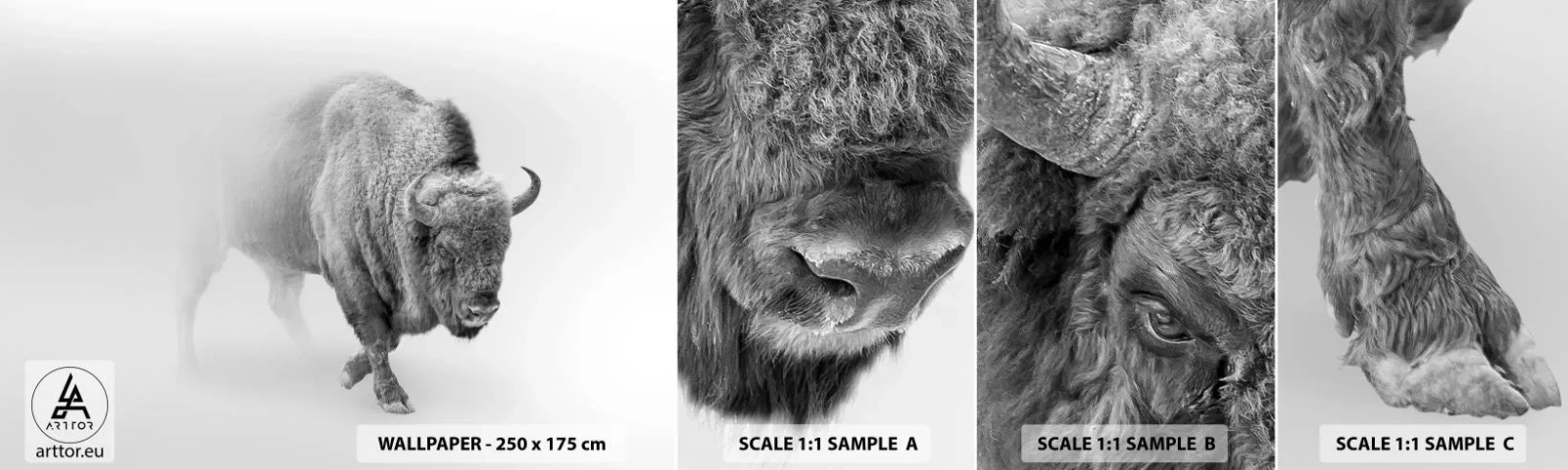 Fotobehang Monster Zelfklevend Deluxe Sticker - Koning van de prairie - Wijs, Dieren, Bizon - 100x30 cm