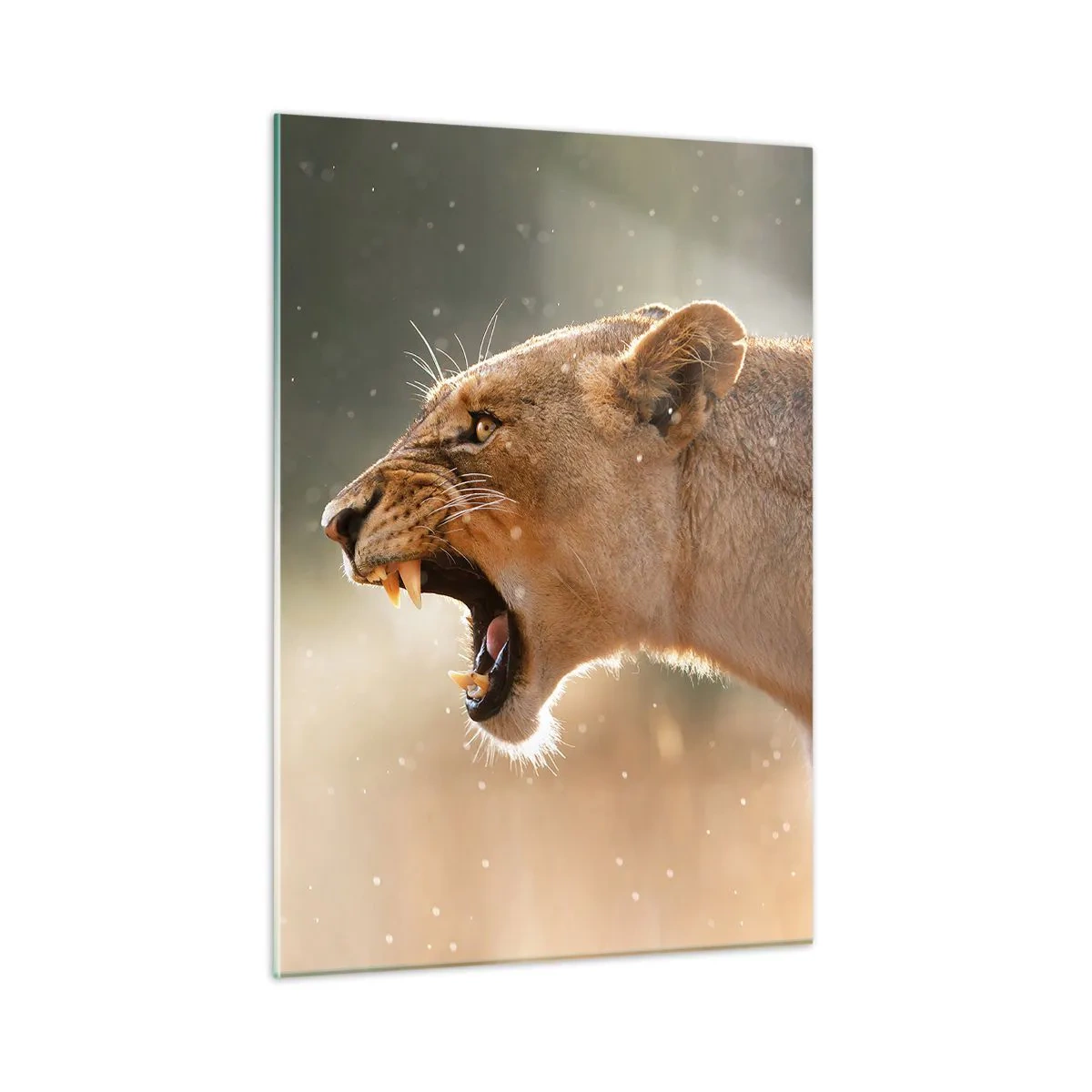 Schilderen op glas - Probeer niet te luisteren - 50x70 cm