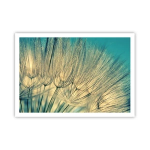 Poster - In afwachting van de wind - 100x70 cm
