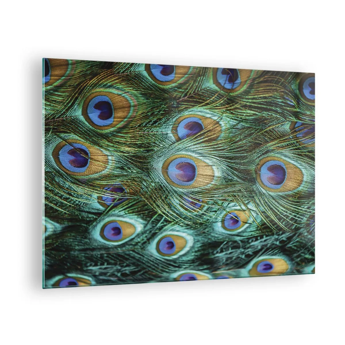 Schilderen op glas - Detail van pauwenveren met duidelijke ogen - 70x50cm - Een pauwenooglook - Moderne wanddecoratie voor woonkamer en slaapkamer ARTTOR