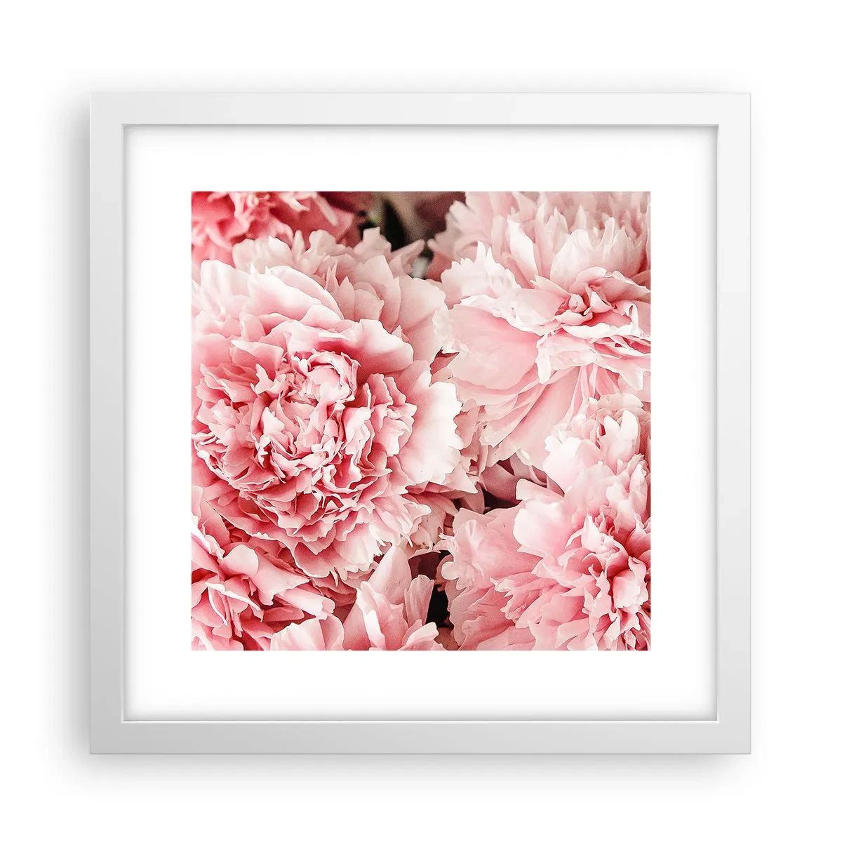 Poster in een witte lijst - Roze droom - 30x30 cm
