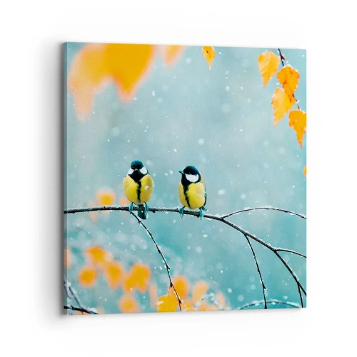 Schilderen op canvas - Vogelroddel - 70x70 cm