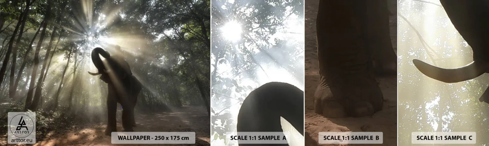 Fotobehang Monster Zelfklevend Deluxe Sticker - Onder de gelukkige ster - Landschap, Olifant, Oerwoud - 100x30 cm