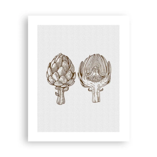 Poster - Anatomieles - 40x50 cm