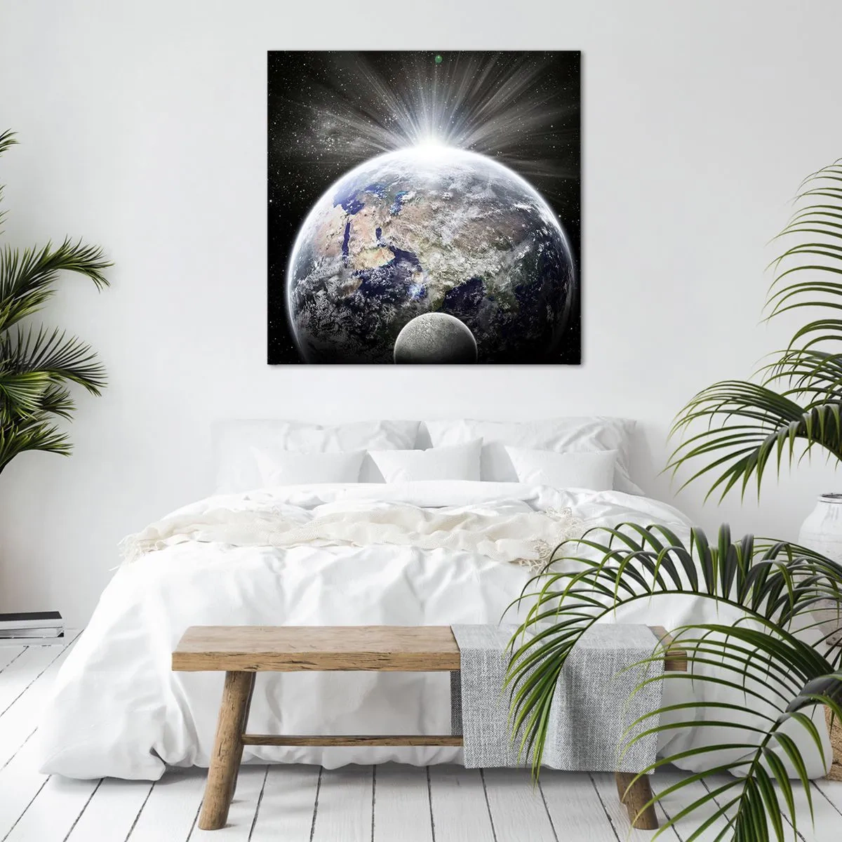 Schilderen op canvas - In volle pracht - 60x60 cm