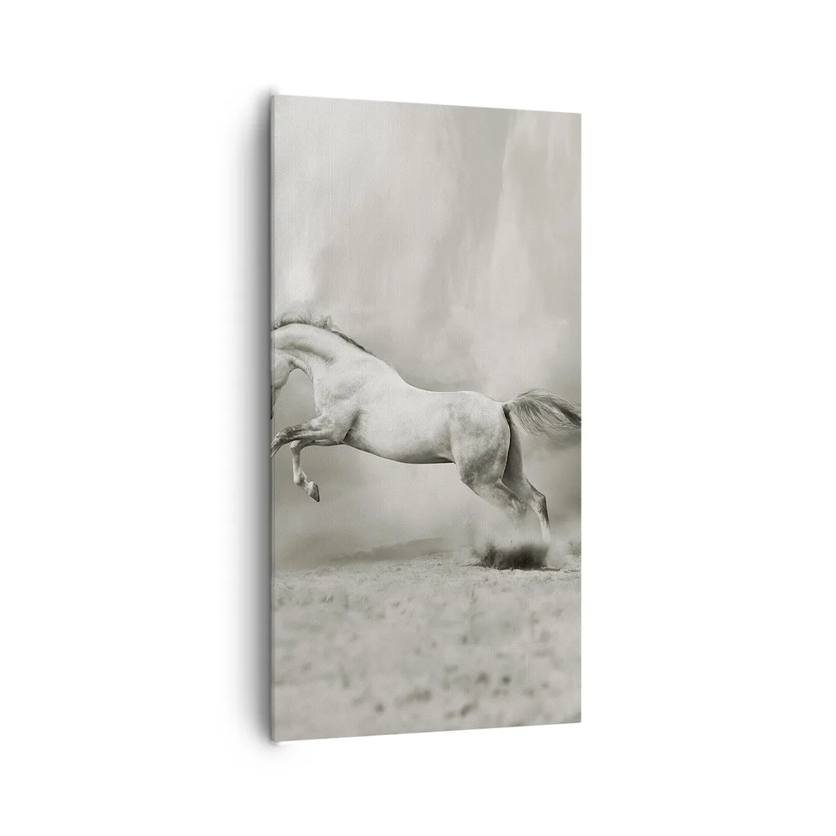Schilderen op canvas - Tussen waken en slapen - 65x120 cm