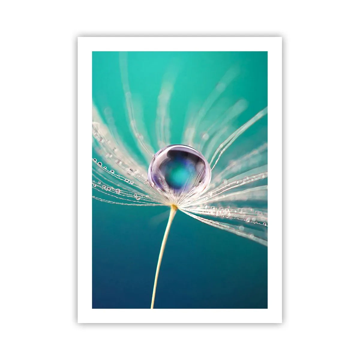 Poster - Mystiek moment - 50x70 cm