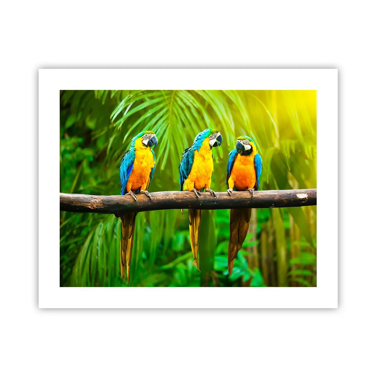Poster - En heb je gehoord dat ze...? - 50x40 cm