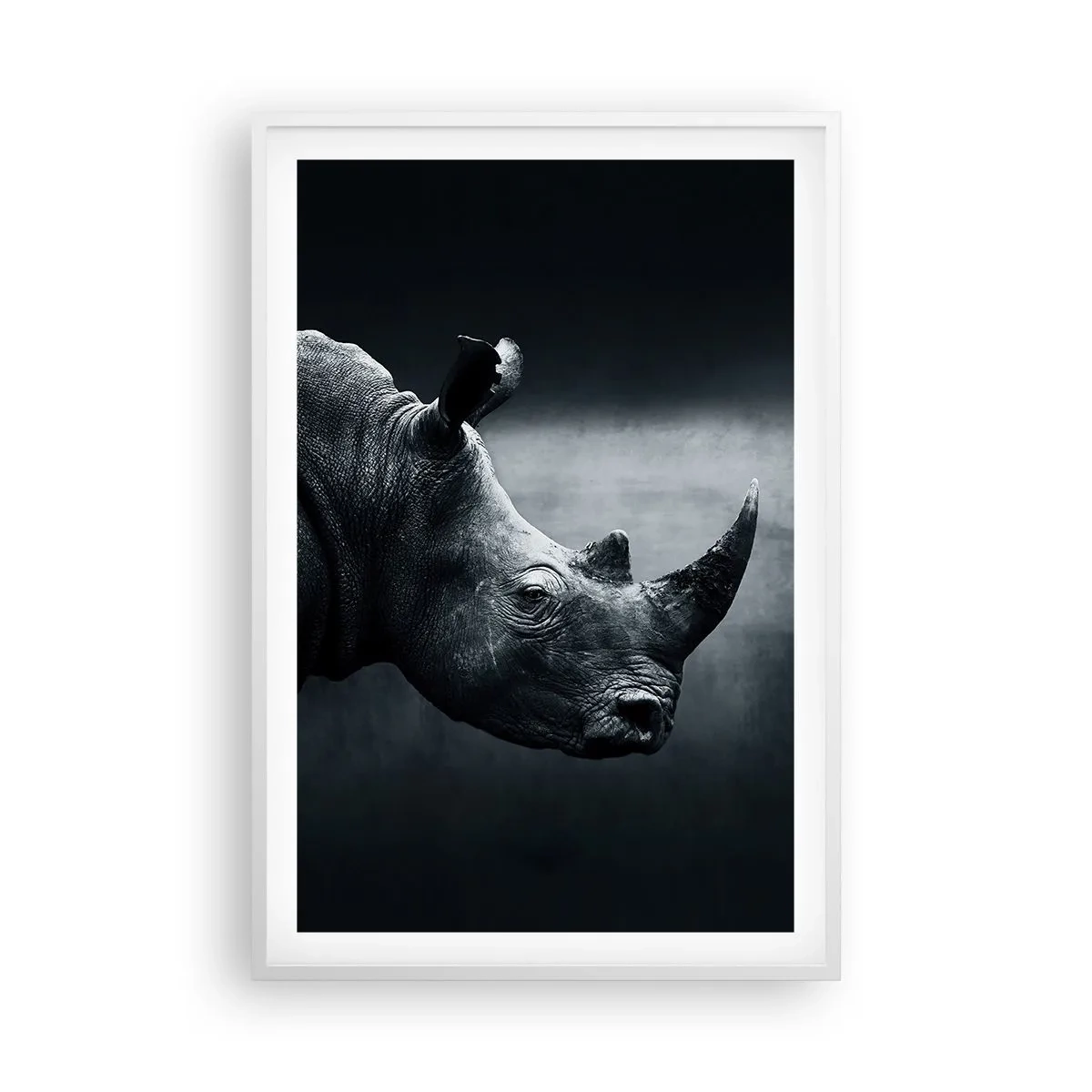 Poster in een witte lijst - Rechts profiel - 61x91 cm