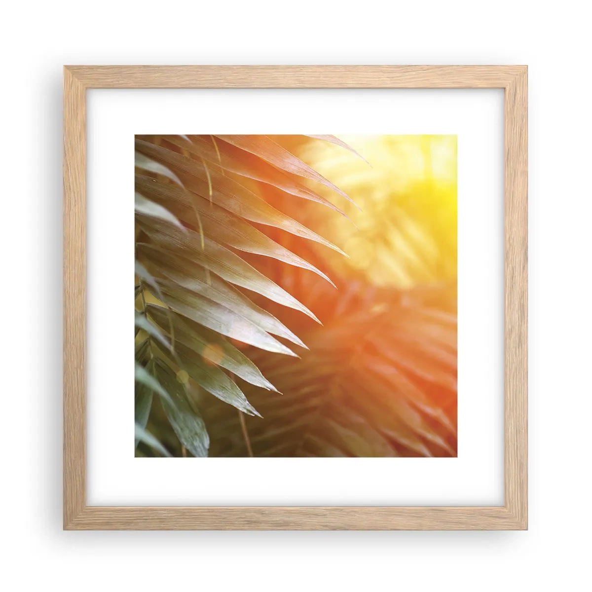 Een poster in een licht eiken lijst - Ochtend in de jungle - 30x30 cm
