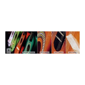 Fotobehang Monster Premium Canvas - De gitaar heeft vele kleuren - Muziek, Gitaar, Een muziekinstrument - 100x30 cm